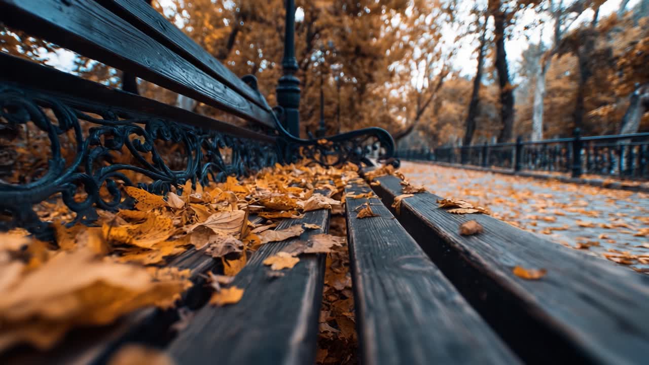 A Serene Autumn Scene: Leaves Accumulate on a Park Bench Amidst Winding Pathways in a Vibrant, Colorful Forest Environment