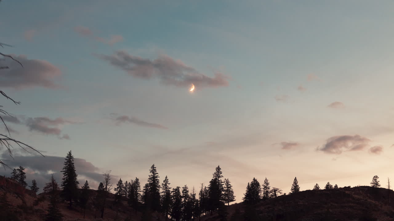 lac du bois의 비밀: dolly는 별빛의 소나무 에서 밤의 경이로움을 드러니다.