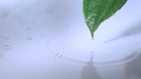 small drizzle falling in super slow motion