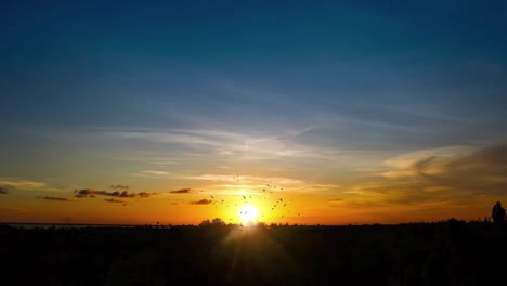 sunset sky with horizon and bird flock silhouette