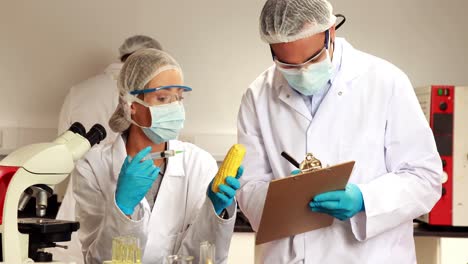 scientist taking notes on food experiment