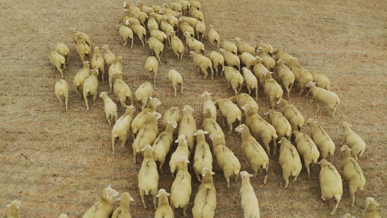 más fuertes cuando nos mantenemos unidos