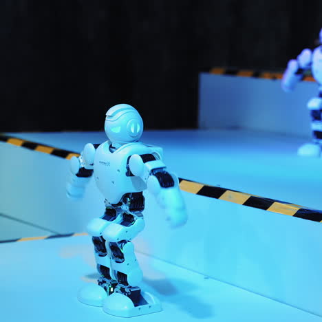 The robots dance show humanoid. Science Festival. Robotic technology