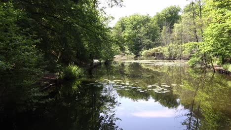 a calm lake with trees in the background