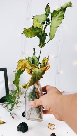 mano sosteniendo una pequeña botella con ramas y hojas secas