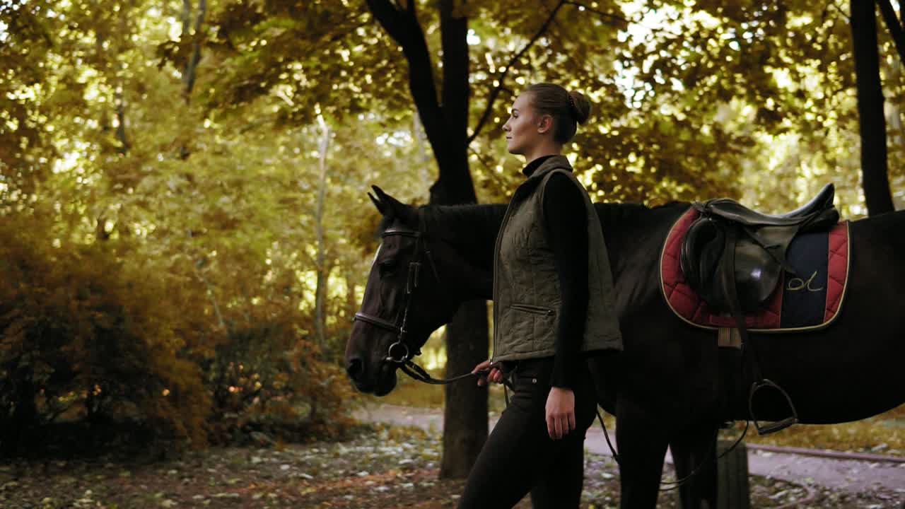Side view of beautiful dark brown horse walking with young brunette jockey girl in the forest during sunny day in autumn. Golden
