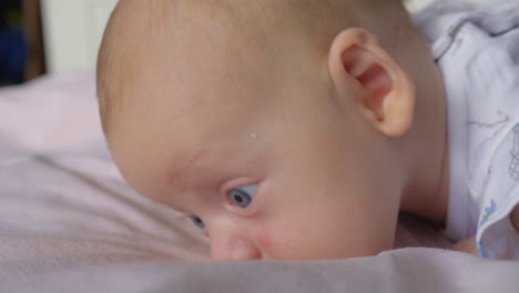 portrait of quiet lovely two month baby girl with big blue eyes