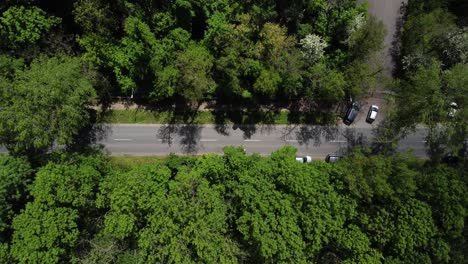 Small-Car-Traffic-On-Asphalt-Road-Between-Green-Forest