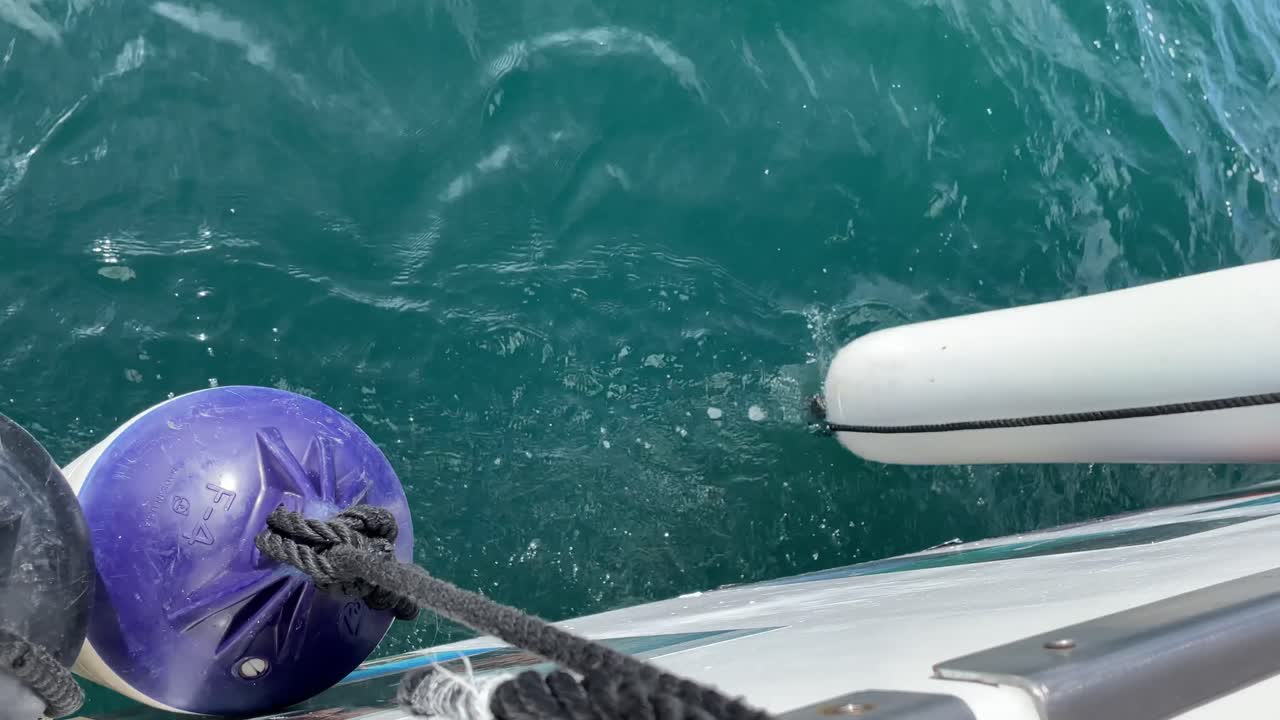 바다 위를 항해하는 동안 보트 옆에 매달려 있는 부표, 위에서 아래로 보는 각도