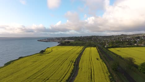 stunning sunrise over rapessed field in greystone10 - 4k cinematic drone footage - wicklow - ireland