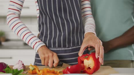 pareja diversa con un delantal azul abrazándose y cocinando en la cocina