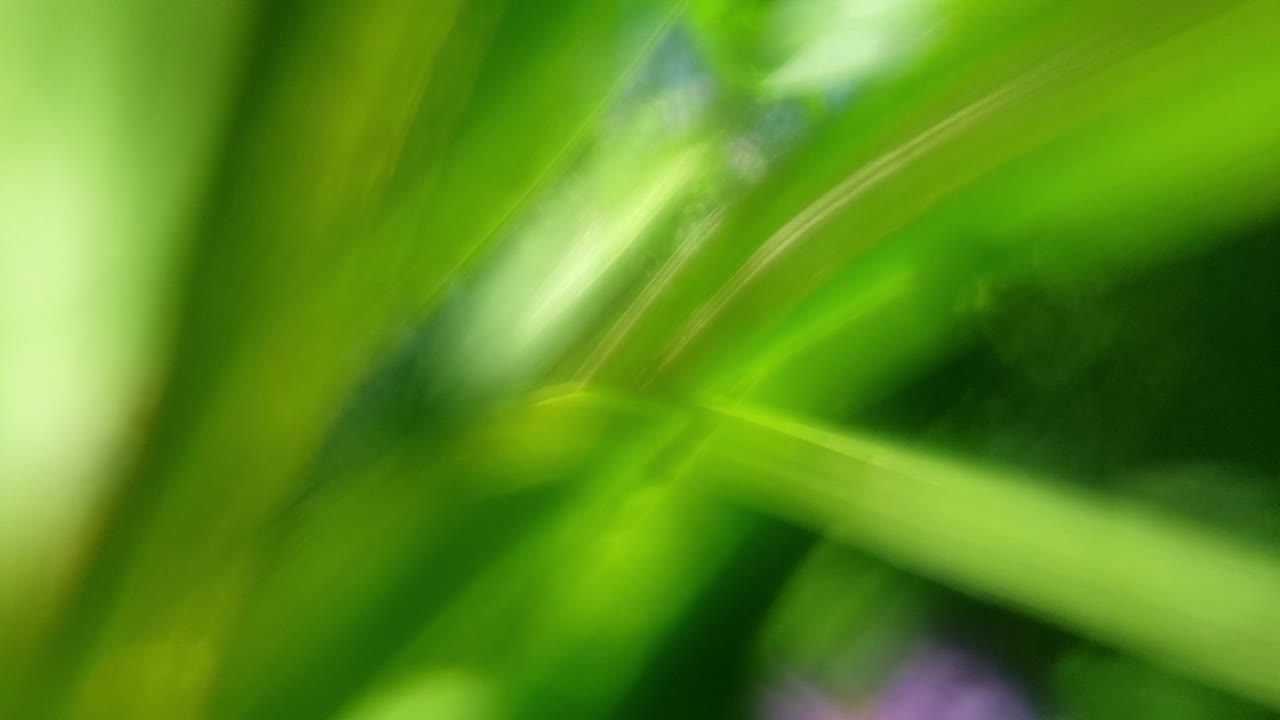 cautivador fondo fluido abstracto surrealista de ensueño con impresionantes colores pastel suaves verdes y azules moviéndose y mezclándose en cámara lenta de paralaje