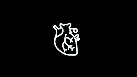 human-heart-organ-Beating-icon-loop-Animation-video-transparent-background-with-alpha-channelhuman-heart-organ-Beating-icon-loop-Animation-video-transparent-background-with-alpha-channel