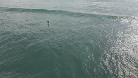 aerial view capturing a foil surfer gliding over water with finesse on a tropical island, showcasing the dynamic beauty of the sport