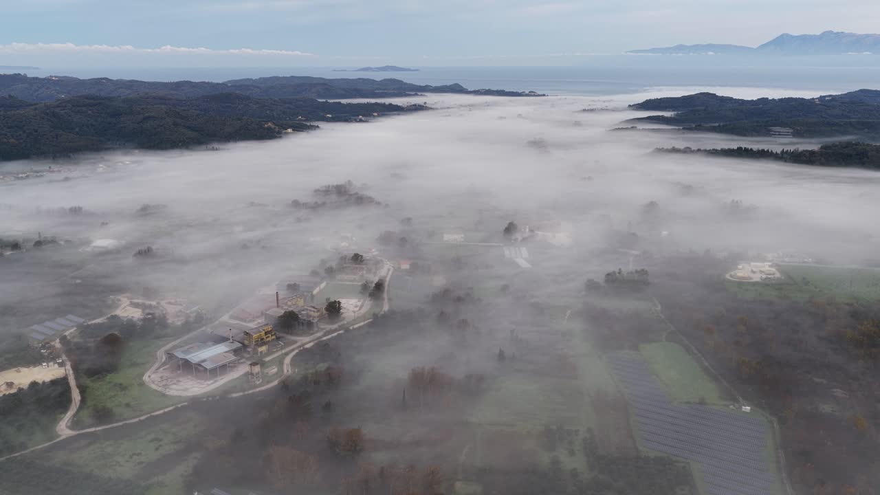 Telephoto aerial view of silhouette cypress trees rising from a mystical thick fog layer in a rural landscape resembling a painting
