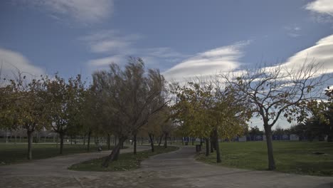 seaside park full of trees in maltepe, istanbul