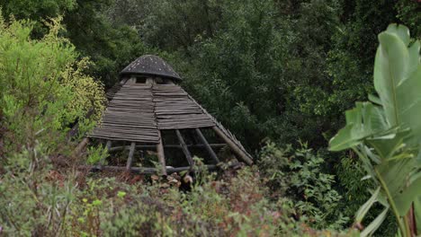 a dilapidated wooden roof structure in the middle of a forest