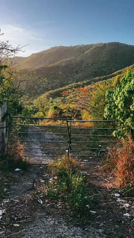 rural mountain landscape with gate