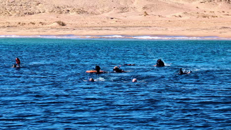 Group-of-people-snorkeling-in-pacific-ocean,-slow-motion-shot-from-surface