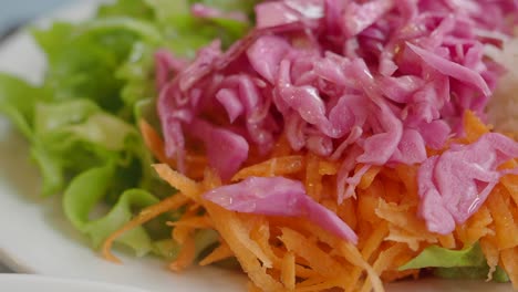 mixed vegetable salad with shredded cabbage and carrots