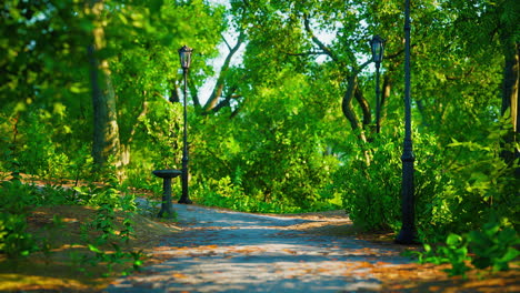 calle peatonal con vista natural en un parque público