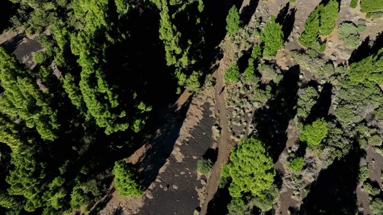 Aerial drone view of the landscape of La Palma, Canary Islands, Spain