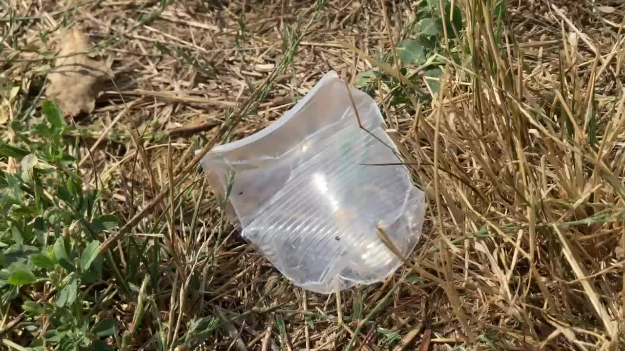 detalle de una colmilla de cigarrillo y una taza de plástico usada abandonada en medio de un prado seco en verano en italia, sol y basura