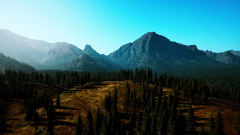 aerial view of canadian rockies mountain