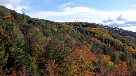 Vuelo-De-Drones-De-Alto-Giro-Lento-Sobre-El-Bosque-De-Otoño-Y-Un-Cielo-Azul