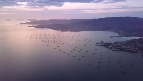 aerial pan of the mussel platforms for mussels farming at beautiful violet sunset in the ría de vigo, galicia