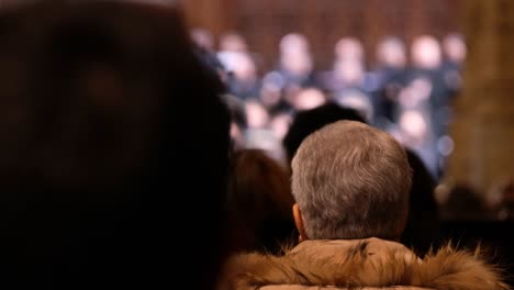 old woman with gray hair rear shot, admiting a chorus concert indoors