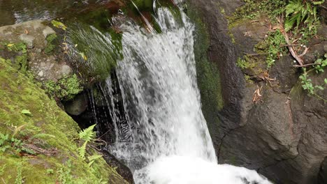 Water-Flowing-Down-Steep-Rock-In-The-Forest-In-Parque-das-Frechas,-Portugal---high-angle