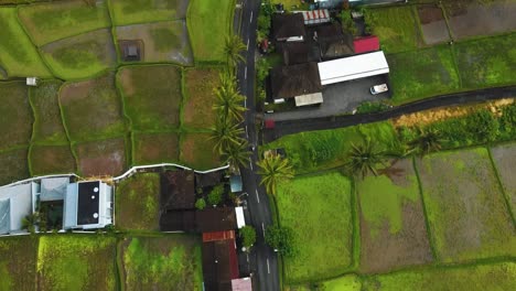 Asombrosas-Filmaciones-Cinematográficas-De-Ubud,-Bali-Drone-Con-Exótica-Terraza-De-Arroz,-Pequeñas-Granjas,-Aldeas-Y-Plantaciones-Agroforestales