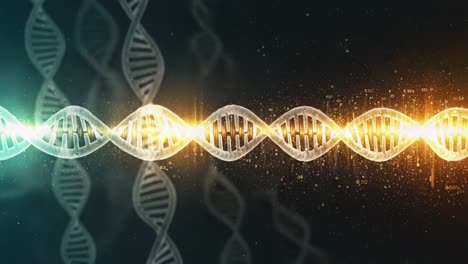 exploring the intricacies of dna structure: a visual representation of genetic patterns and molecular dynamics in modern biochemistry