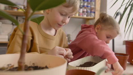 close up view of little blonde girl and blond kid preparing the soil in a pot sitting at a table where is plants in a craft workshop 1