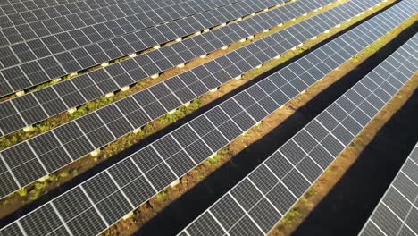 Aerial-view-looking-down-over-alternative-energy-photovoltaic-solar-panel-farm-array-in-bright-sunlight