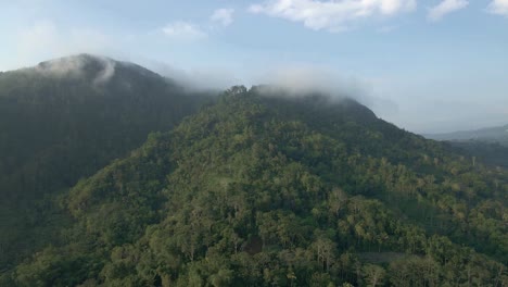 Aerial-view-of-mountain-forest-in-sunny-day