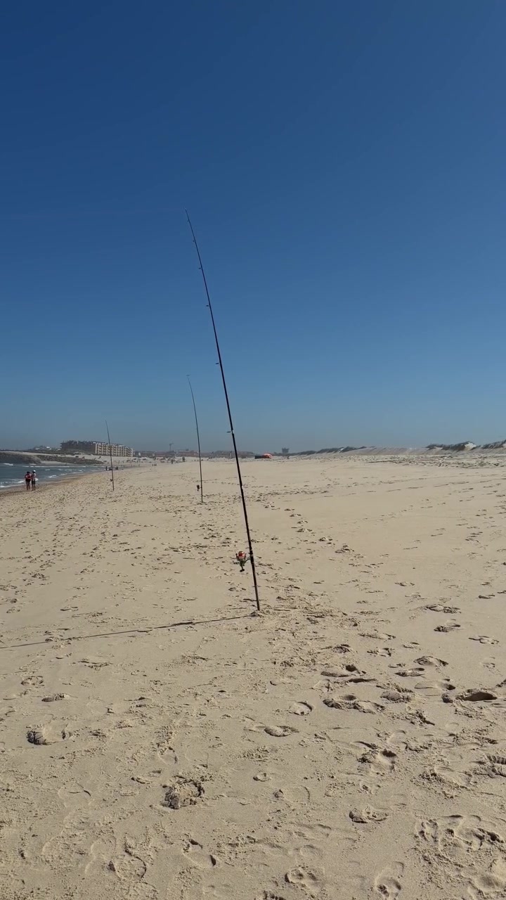 Fishing rods are planted upright in the sand along the coast facing the sea