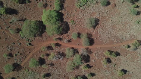 red arid soil crossed by pathways, african savanna landscape, aerial top down