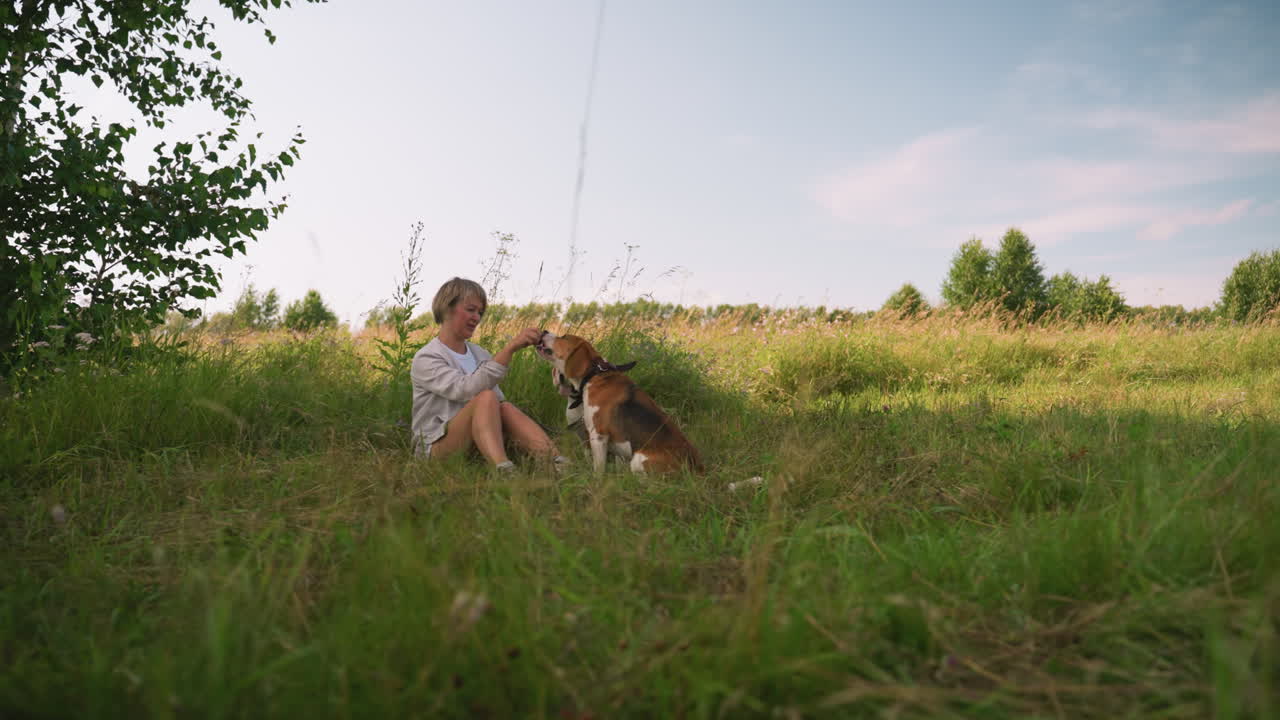 두 개의 개와 함께 잔디에 앉아있는 반려동물 애호가, 다른 개가 지켜보는 동안 개 입에 손을 치며, 빛의 야외 환경에서 자연에 둘러싸인 유대감의 행복한 순간