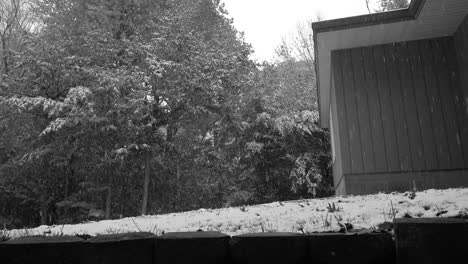 black and white look at suburban snowfall in lower michigan
