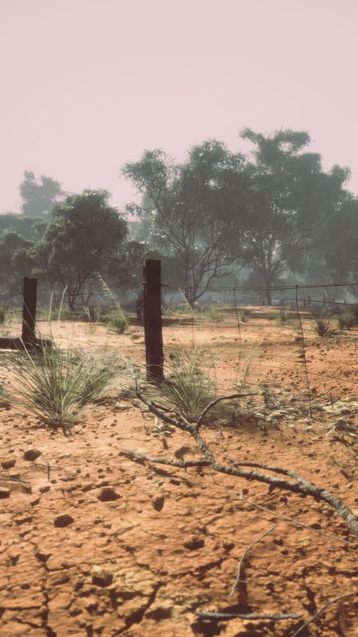Dusty landscape with distant trees under a hazy sky in midday heat