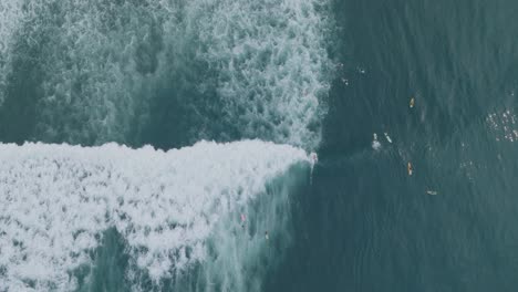 vista aérea de arriba hacia abajo de los surfistas en sunzal el tunco el salvador