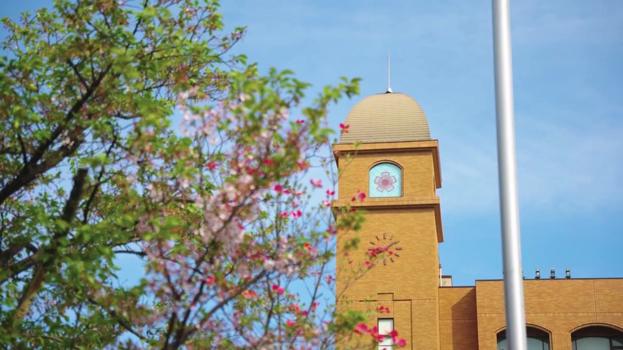 Sakura Florescendo na Primavera sobre a Tradicional Aikoku Gakuen em Tóquio, Japão