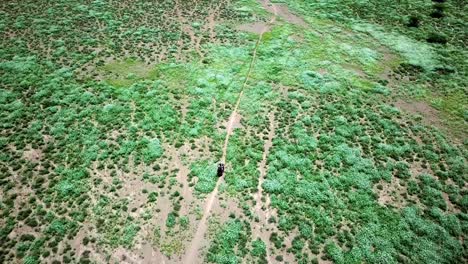 Vista-Aérea-De-Una-Motocicleta-Que-Viaja-A-Través-De-La-Vegetación-Salvaje-En-El-Bosque-Africano-Cerca-Del-Lago-Magadi