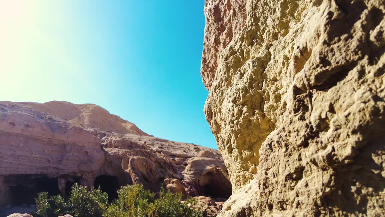 un canyon con un fiume tra montagne e palme