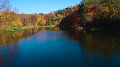 colorful autumn forest wood on the lake