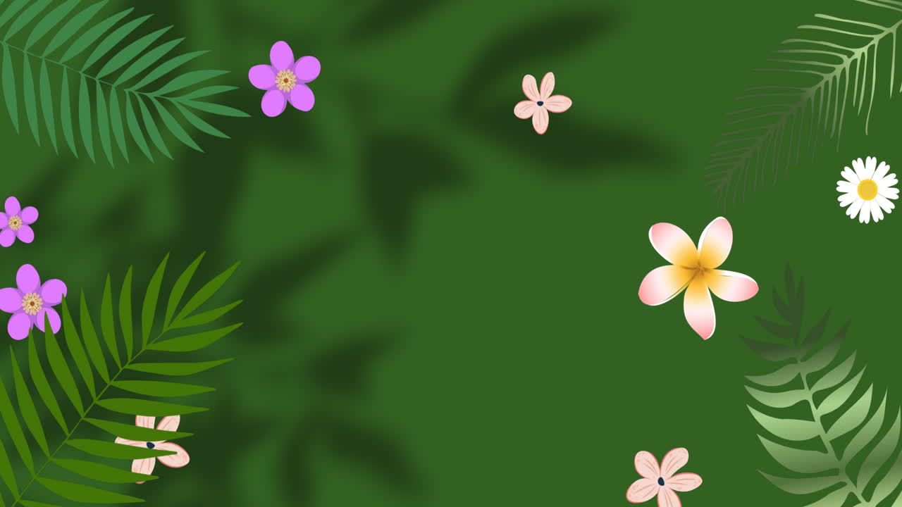 Animation of flowers over leaves and window shadow on green background