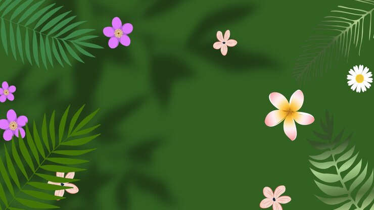 Animation of flowers over leaves and window shadow on green background