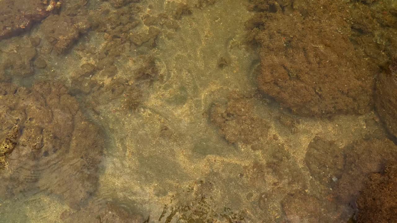 An above shot of clear shallow water ripples over brown stone, light bending across the surface, the frame alive with shifting patterns of Mauban, Quezon Province Philippines